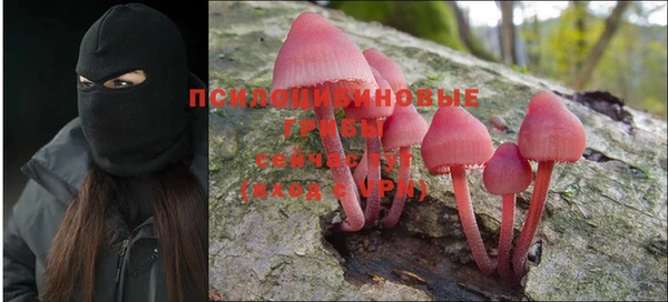 эйфоретик Струнино