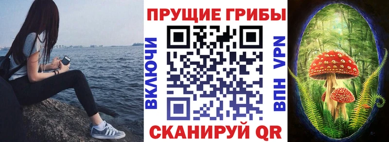 Галлюциногенные грибы GOLDEN TEACHER  Купить где  Павлово 
